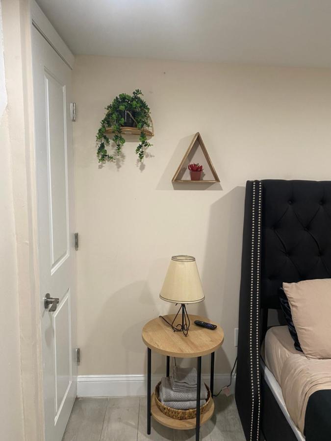 Private Room In South Philly Near Arenas! Philadelphia Eksteriør billede